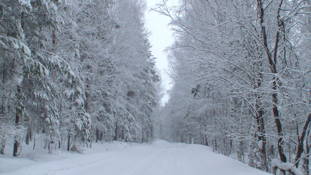зимняя дорога - Ирина 