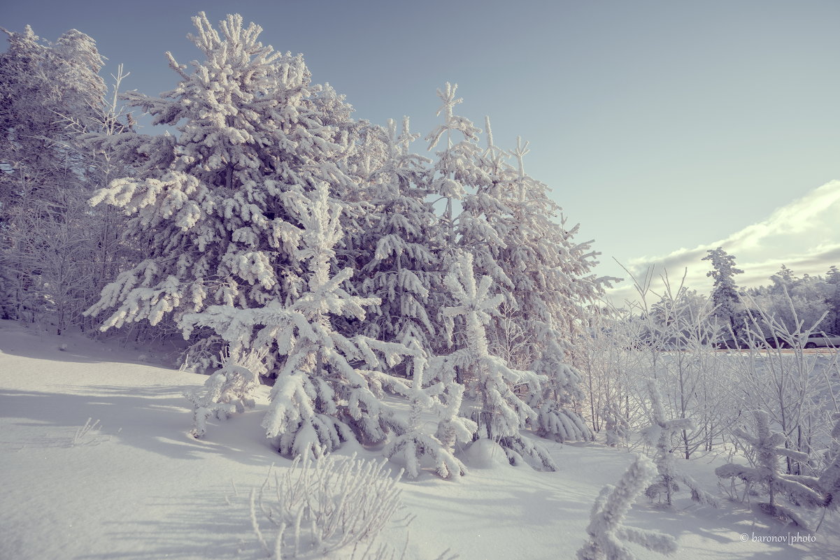 Зима пришла, покрылись снегом елки - Алексей 