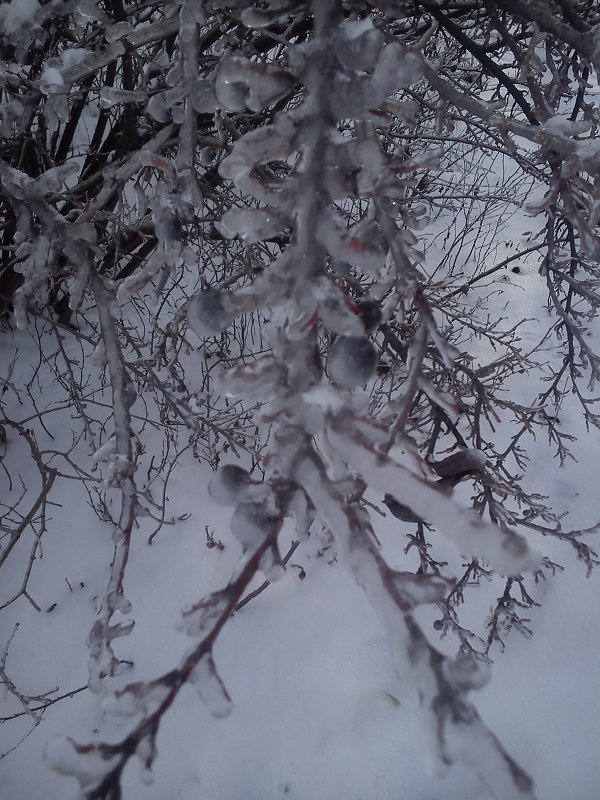 Ледяная зима*) - nastya21 