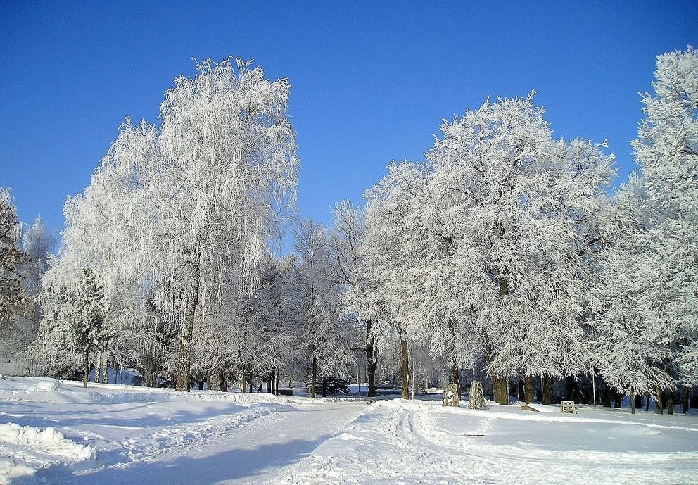 На Крещенье - Eldar Baykiev