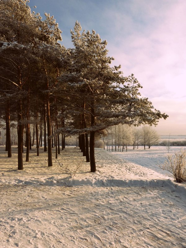 Зима в Санкт-Петербурге - Ann Chuiko