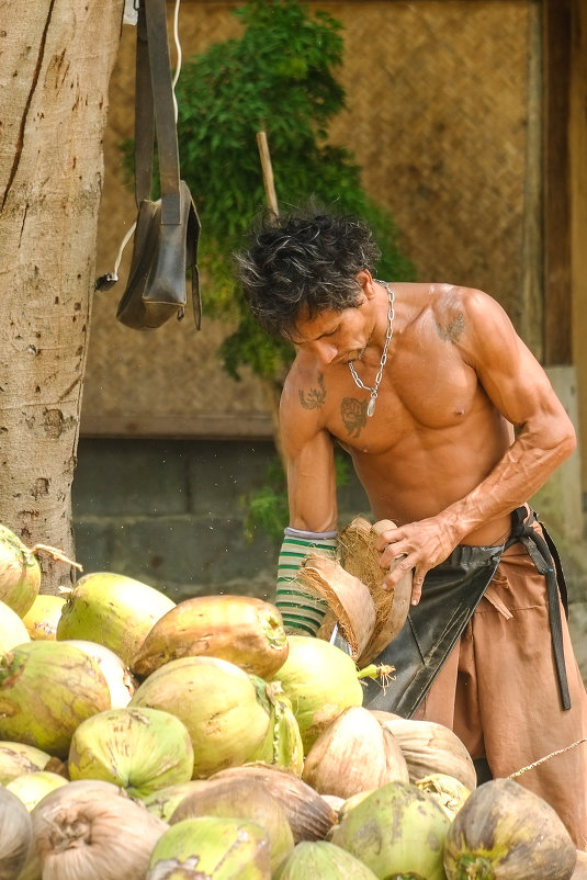 Рабочий по сортировке кокосового сырья на острове Koh Phangan - Nick K
