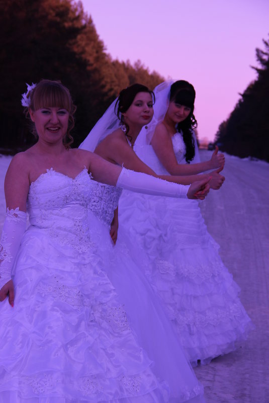 Голосующие невесты - Ольга Нежикова