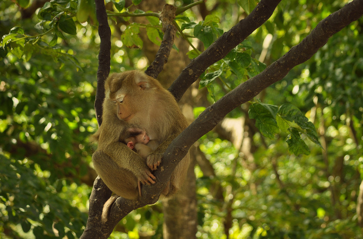 mothering - Anastasia Urlatkina 