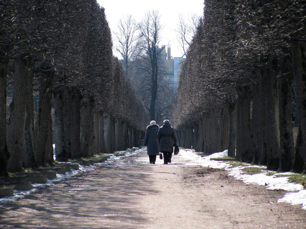 прогулка - Александр 