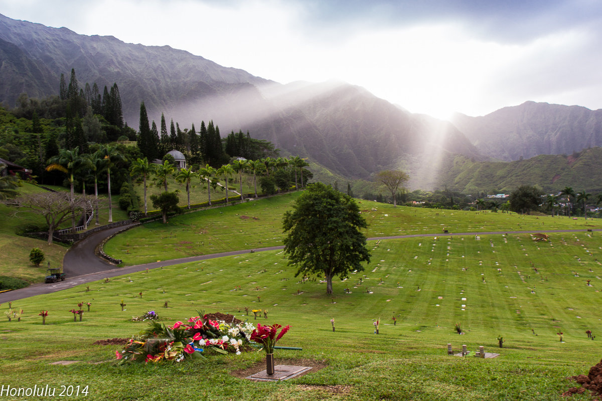 cemetery in Honolulu - Vita Farrar