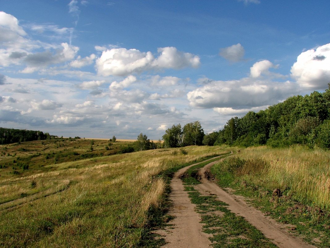 Картинка дороги в деревне