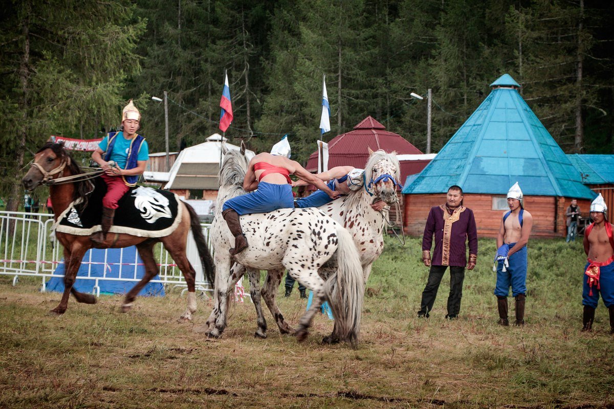 Алтайская борьба на чубарых лошадях - Виктор Ковчин