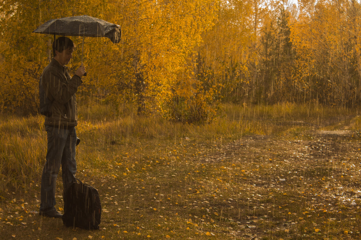 Осенний дождь - Роман Кондрашин