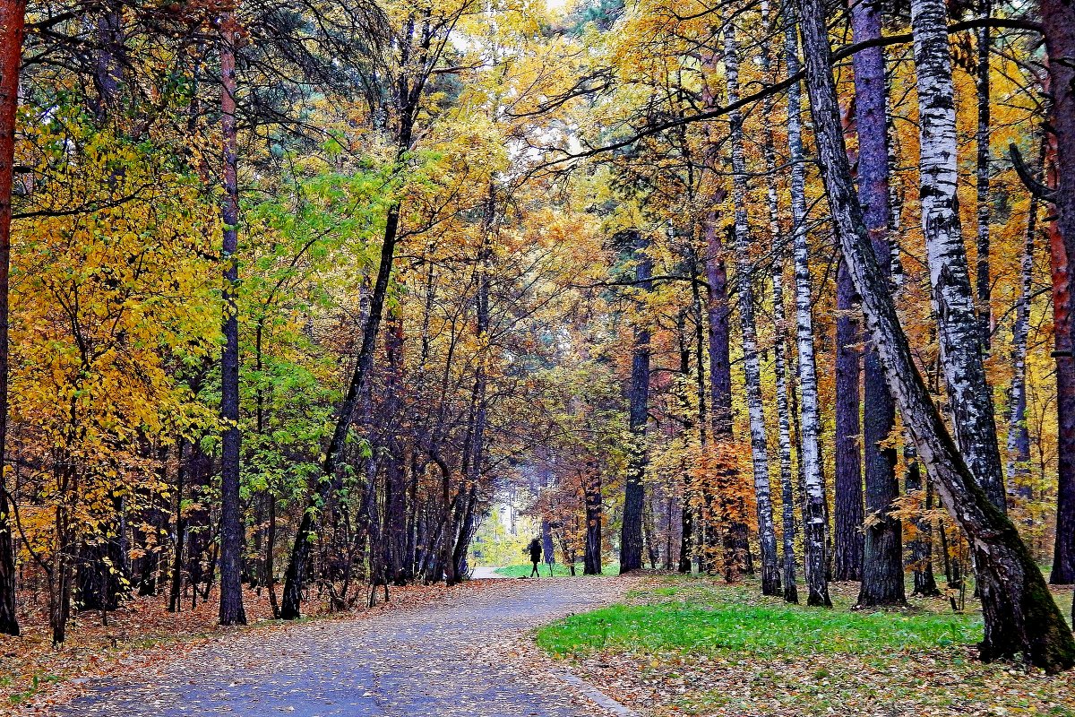 в осеннем парке - Сергей Швечков