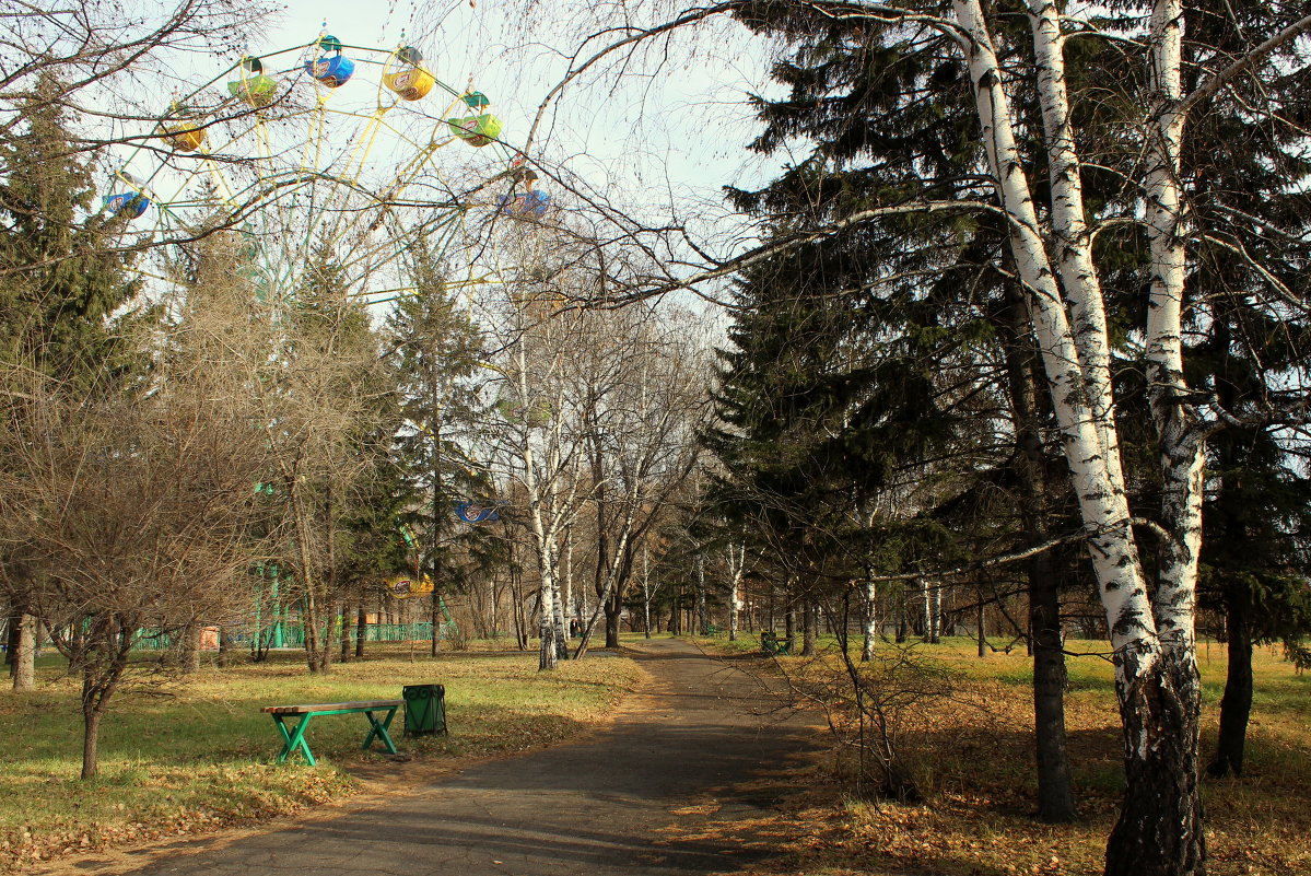 Осенний парк - Елена 