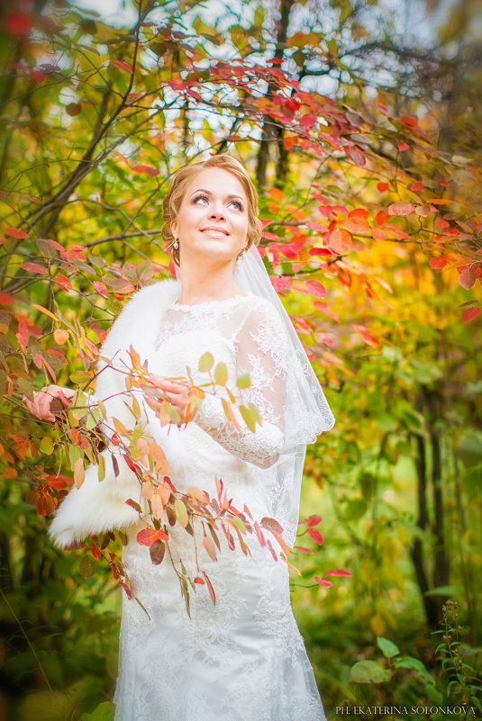 Осенняя невеста - Екатерина Солонкова