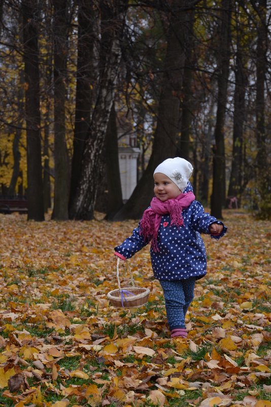 Осень в городе - Лена Линькова