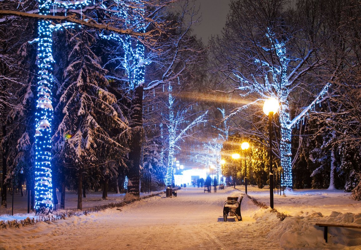 Вечерняя заснеженная аллея парка - Daria Egorova