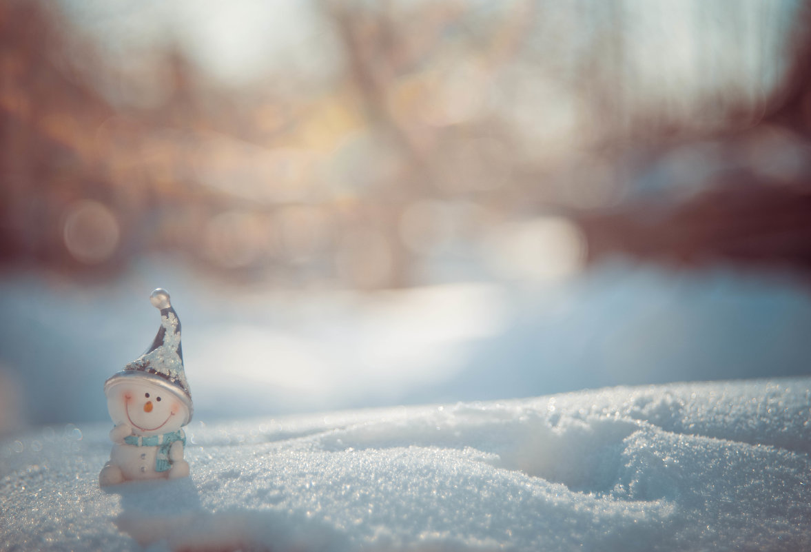 Маленький снеговичок - Оксана 