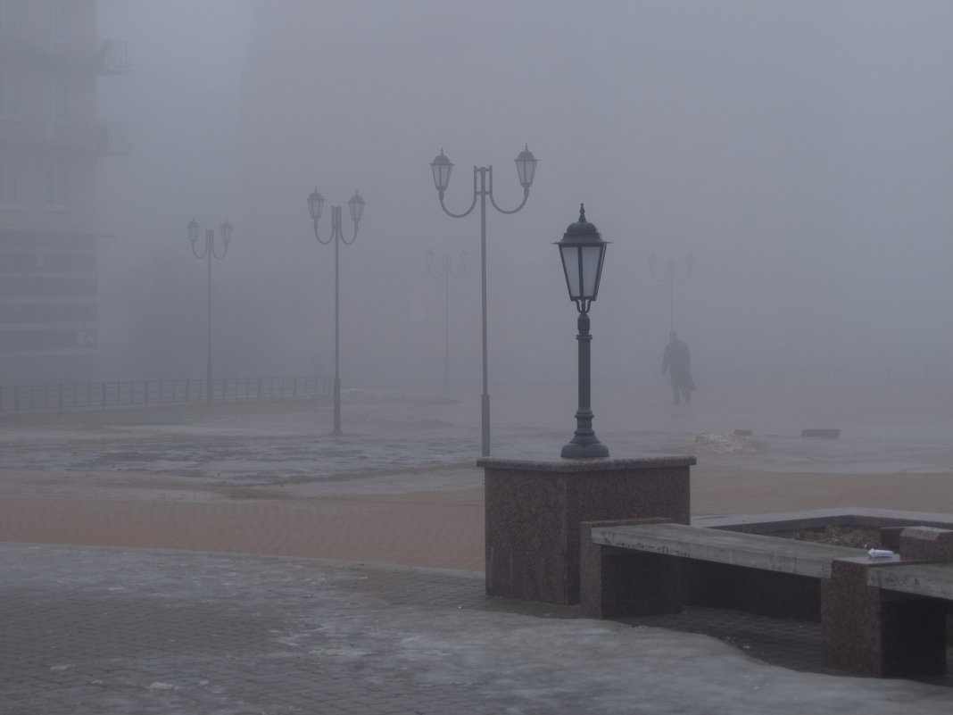 Туман в феврале - Сергей Базылев