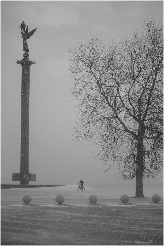 Снег - Наталья Плаксина