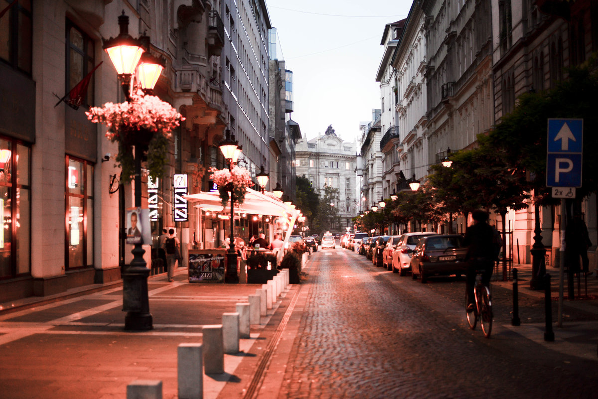 Budapest - Александра Шарий