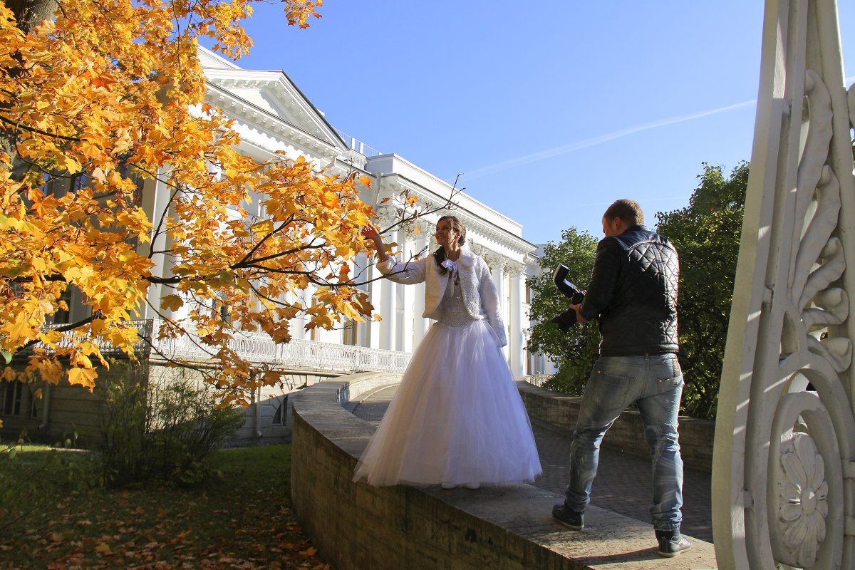 Чужая свадьба в октябре - ирина Пронина