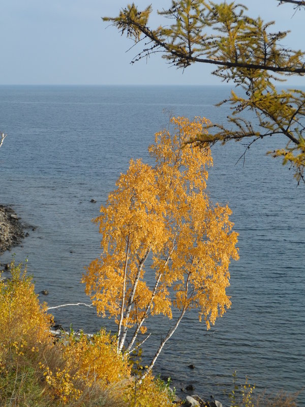 Осень на Байкале - Ирина 