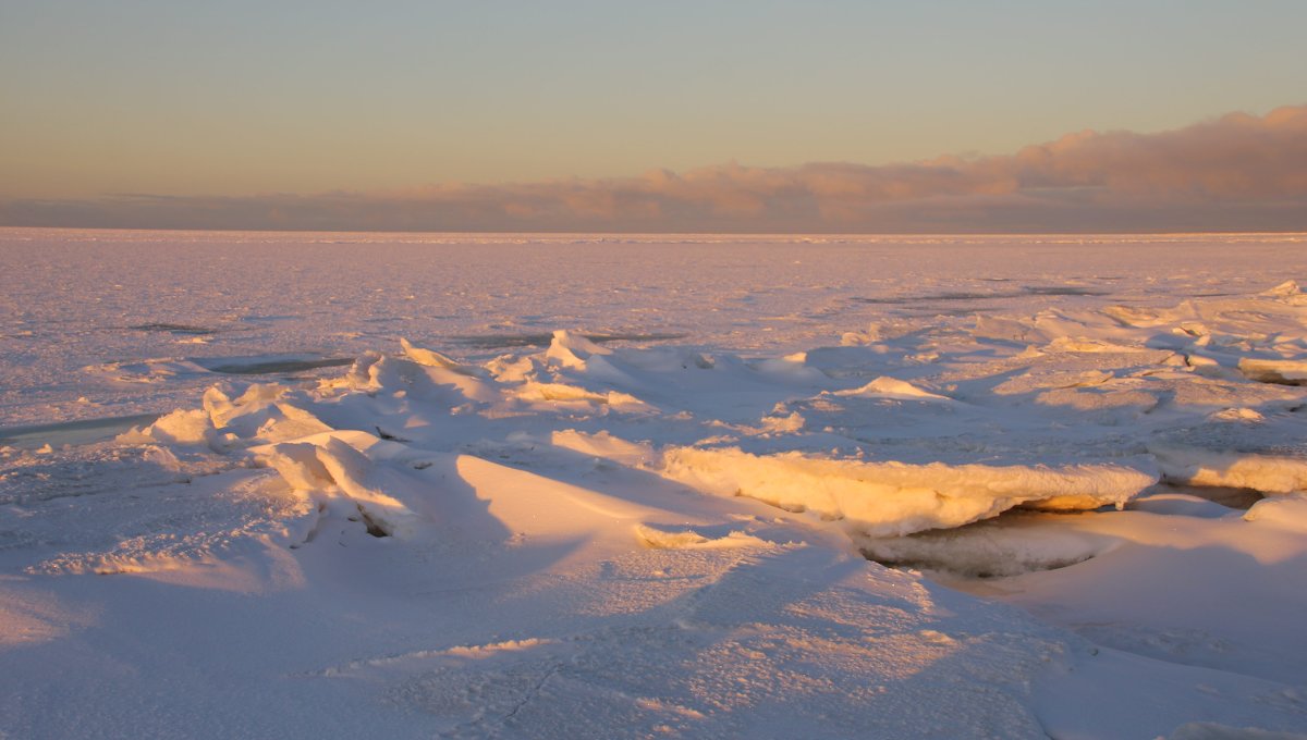 Море Замерзло Фото