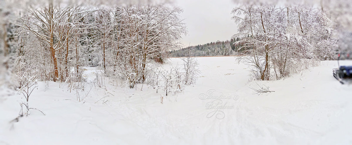 Зимняя панорама - Анастасия Белякова