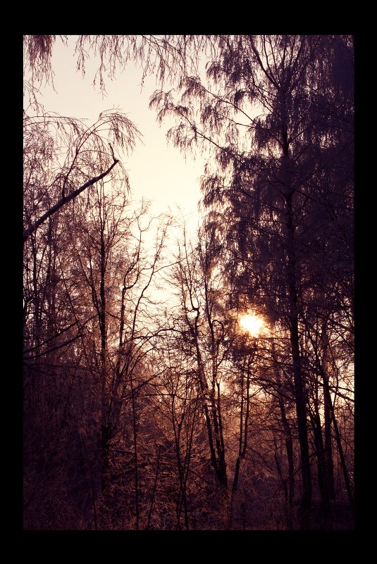 Зимний закат - Юлия 
