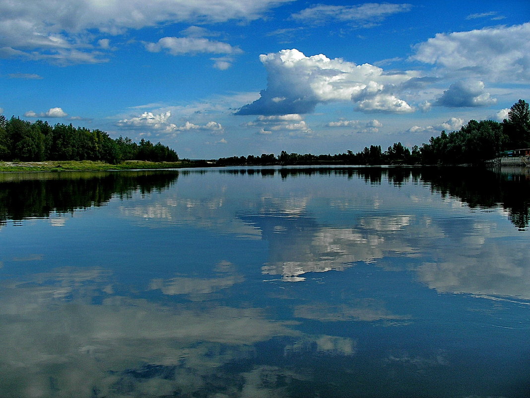 Десна - Лариса Горбатова