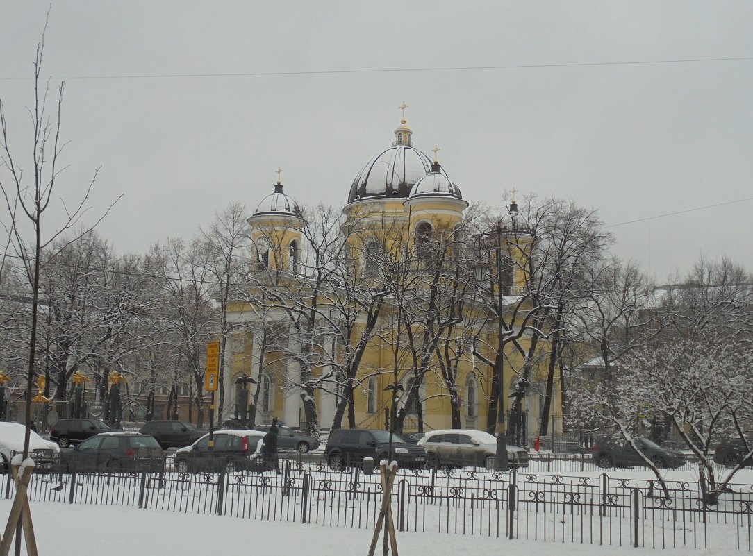 Снегопад в Петербурге - ДС 13 Митя