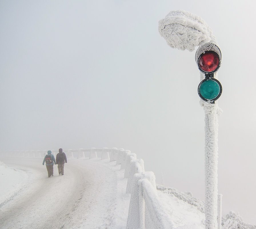 No traffic today - Максим Шинкаренко