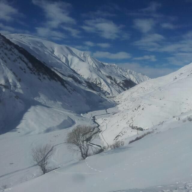 Снежные горы Кавказа - Джамиля 