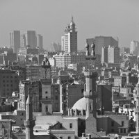 Городские джунгли Каира :: Марина Грушина