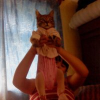 Кот в памперсе :: Ольга Гагаузова