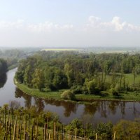 Слияние реки Эльба и Влтава :: Наталья Лахтина