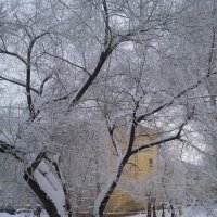 Зима в нашем дворе. :: Сергей Мартыновский