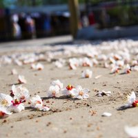 Весна в Саратове :: Delete Delete