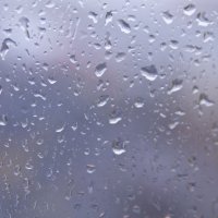 Дождь :: Наталья Мунцева