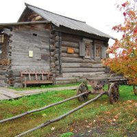 Осень крестьянина, поспела рябина :: Виктор Дмитриев