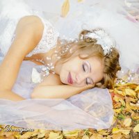 Сон невесты :: Дмитрий Догадин