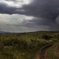 Туча грозно разрасталась :: Zlata Vlasova