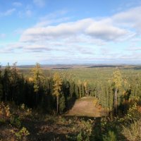 Бескрайняя тайга :: Елена Соловьева