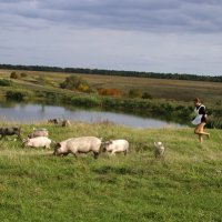 Пастушка :: Владимир Кулик