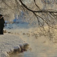 Берендеево царство. Зимний пруд :: Василий Ахатов