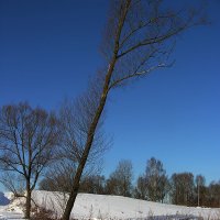 Зима в Антоновке :: Тамара Цилиакус