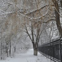 Зима во дворе города :: Антонина Соколова