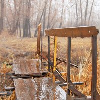 Осенняя зарисовка :: Александр Первойкин