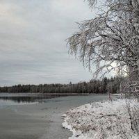 зимнее озеро :: Max Golovanov