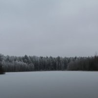 Зима :: Роман Харчев