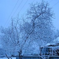 Зима на моей Улице :: Александр Кузин