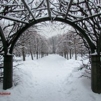 Дорога в зиму :: галина северинова